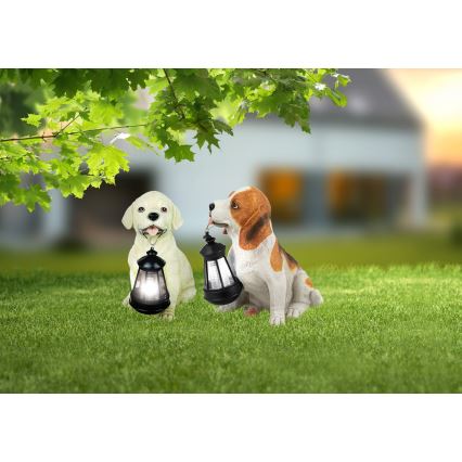 Globo - LED aurinkokäyttöinen valaisin LED/0,06W/3V IP44 600 mAh