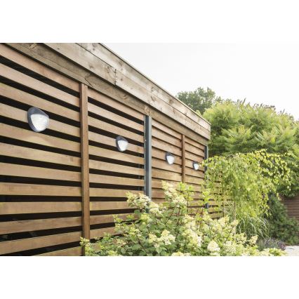 Globo - LED aurinkokäyttöinen seinävalaisin 2xLED/0,06W/1,2V IP44 200 mAh