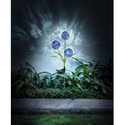 Globo - LED-aurinkovalaistus 3xLED/0,06W/3V 5000K IP44 violetti