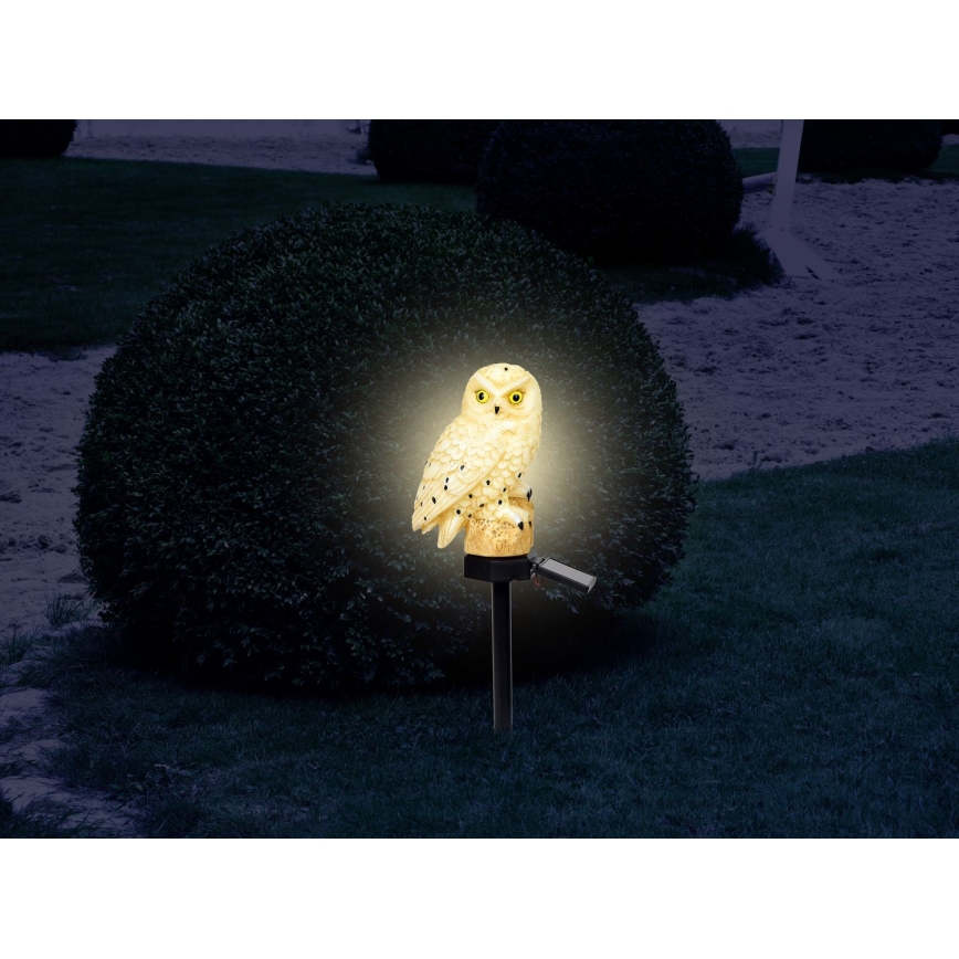 Globo - LED Aurinkovalo LED/0,06W/3V IP44 pöllö