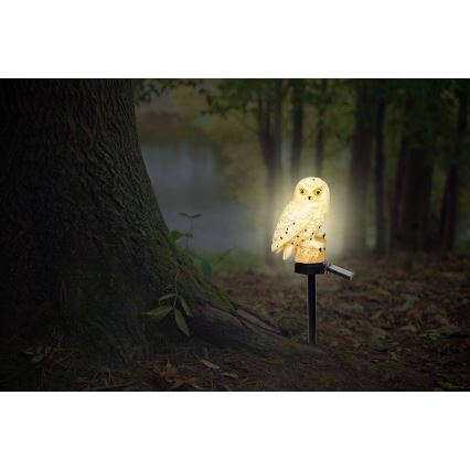 Globo - LED Aurinkovalo LED/0,06W/3V IP44 pöllö