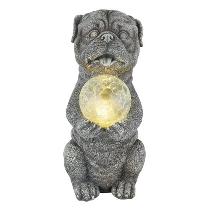 Globo - LED aurinkokennovalaisin LED/0,02W/3V IP44 300 mAh koira