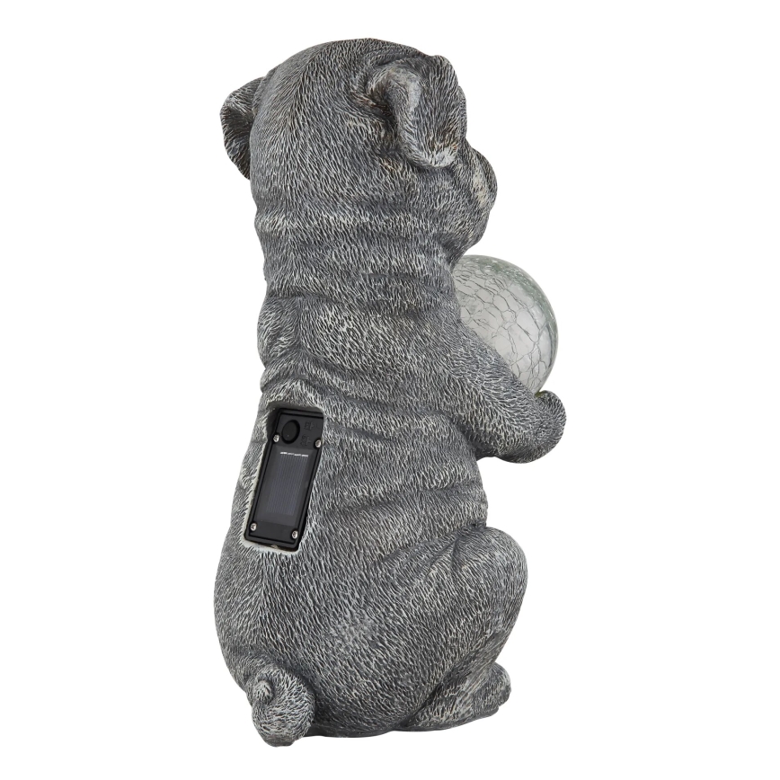 Globo - LED aurinkokennovalaisin LED/0,02W/3V IP44 300 mAh koira