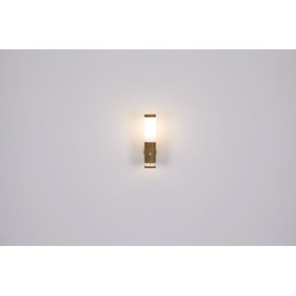 Globo - Ulkovalaisin 1xE27/15W/230V IP44