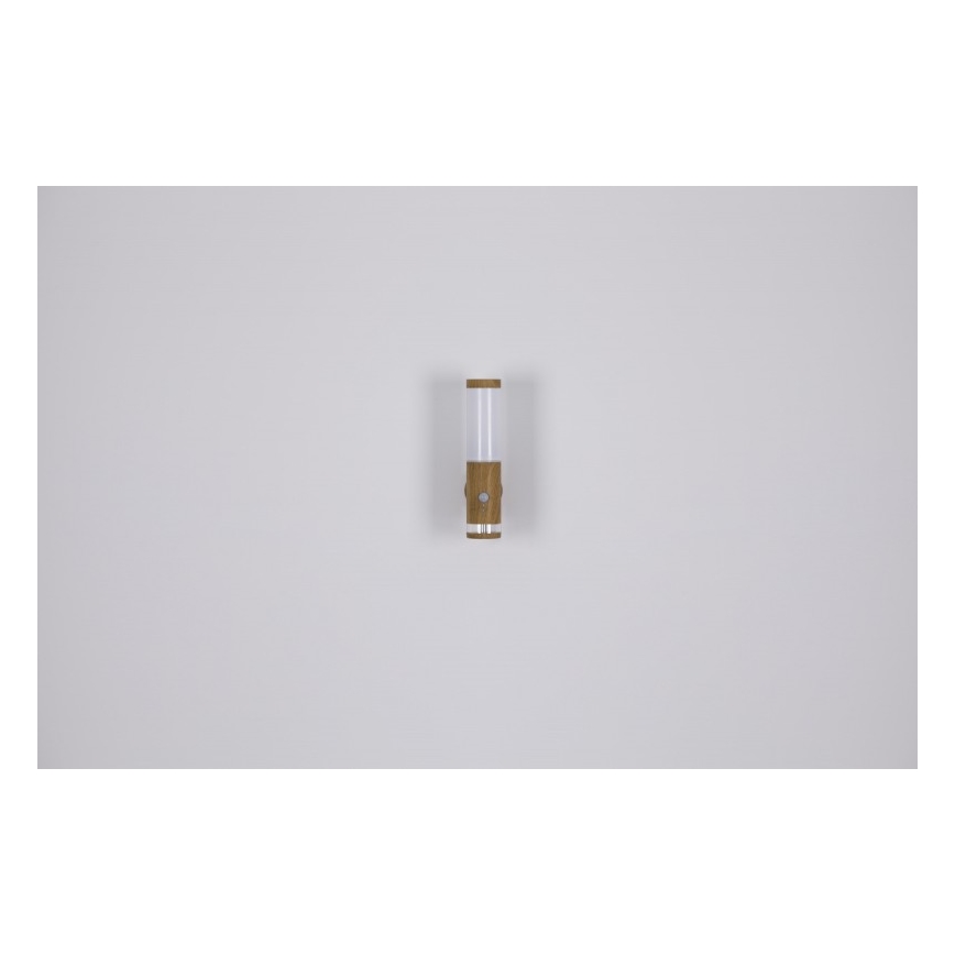 Globo - Ulkovalaisin 1xE27/15W/230V IP44