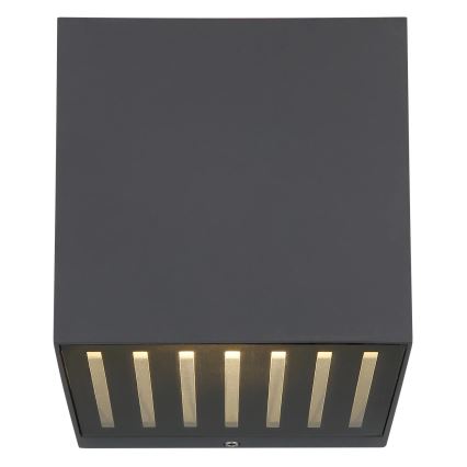 Globo - LED-ulkoseinävalaisin LED/6W/230V IP54 antrasiitti