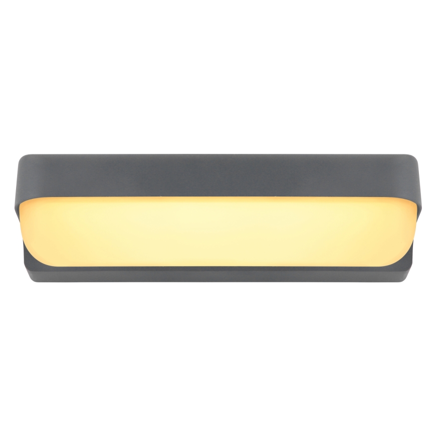 Globo - LED-ulkoseinävalaisin LED/10W/230V IP54
