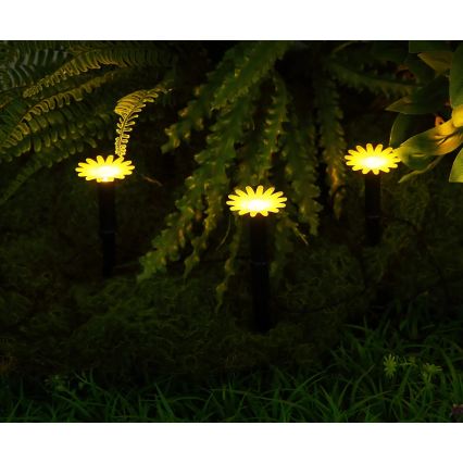 Globo - LED-aurinkoketju 5xLED/3V IP44 300 mAh 2,2 m kukat