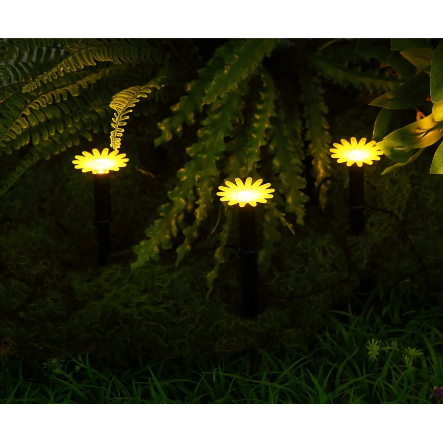 Globo - LED-aurinkoketju 5xLED/3V IP44 300 mAh 2,2 m kukat