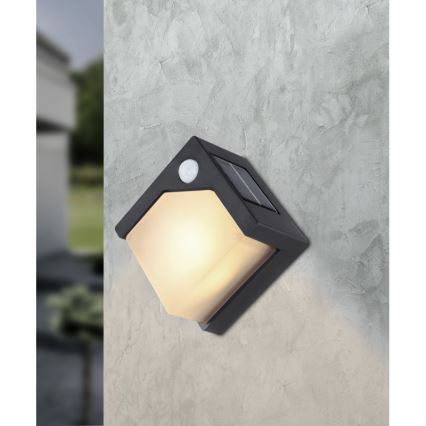 Globo - LED aurinkokennovalo anturilla LED/0,48W/3V IP44 600 mAh
