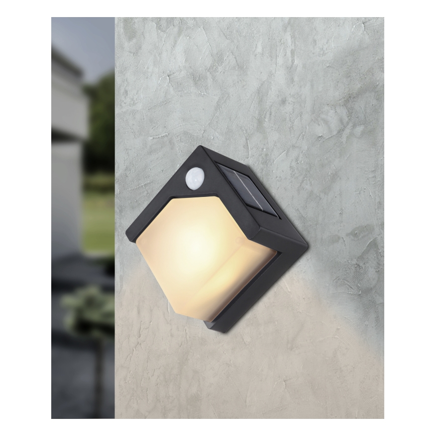 Globo - LED aurinkokennovalo anturilla LED/0,48W/3V IP44 600 mAh