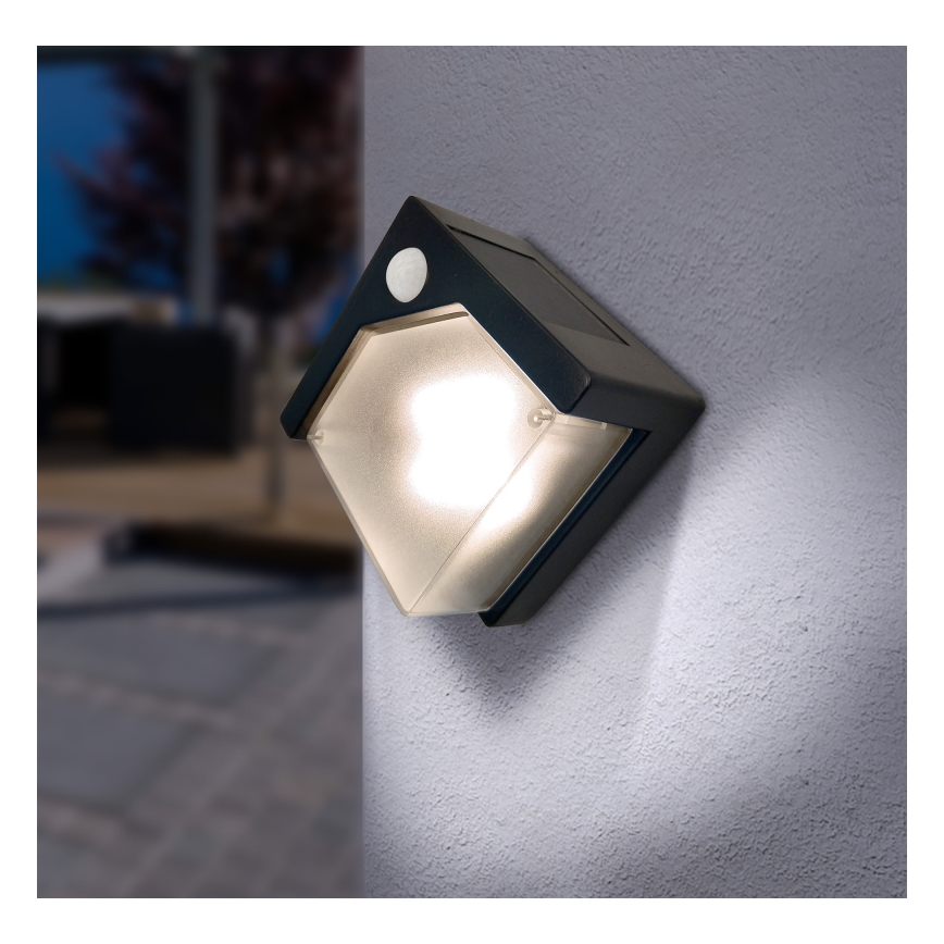 Globo - LED aurinkokennovalo anturilla LED/0,48W/3V IP44 600 mAh