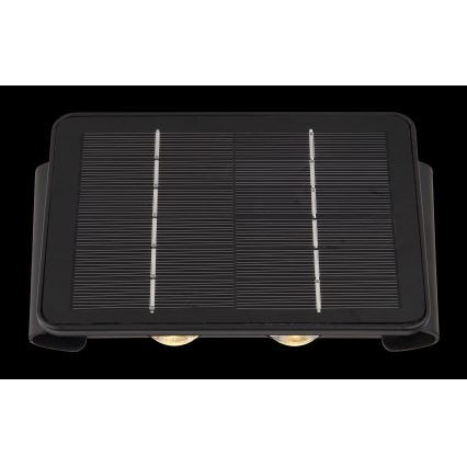 Globo - LED aurinkovalo LED/1W/3,2V 3000K IP54