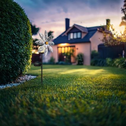 Globo - LED Solar koriste LED/0,02W/3V IP44