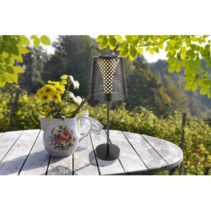 Globo - LED Aurinkovalo LED/0,06W/3V IP44