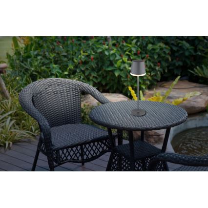 Globo - LED-aurinkovalaistus LED/0,6W/3V 3000K IP44 1200 mAh antrasiitti