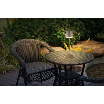 Globo - LED-aurinkovalaistus LED/0,6W/3V 3000K IP44 1200 mAh antrasiitti