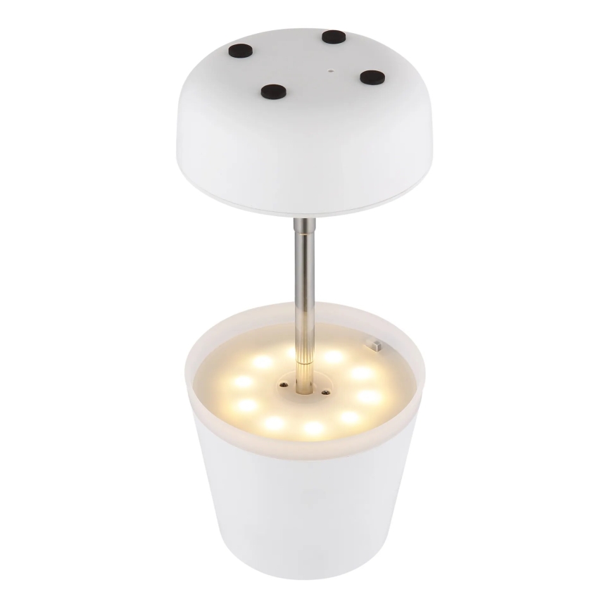 Globo - LED aurinkokennovalo 10xLED/0,06W/3V IP44 800 mAh valkoinen