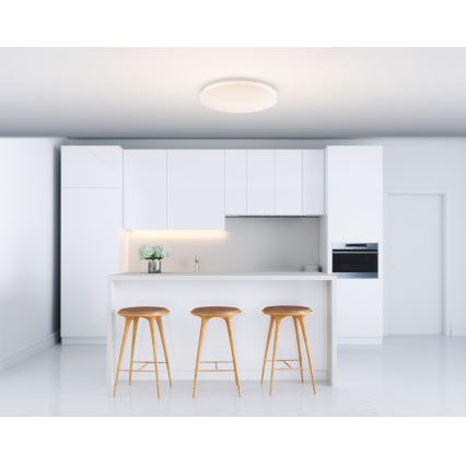 Globo - LED-kattovalaisin LED/20W/230V