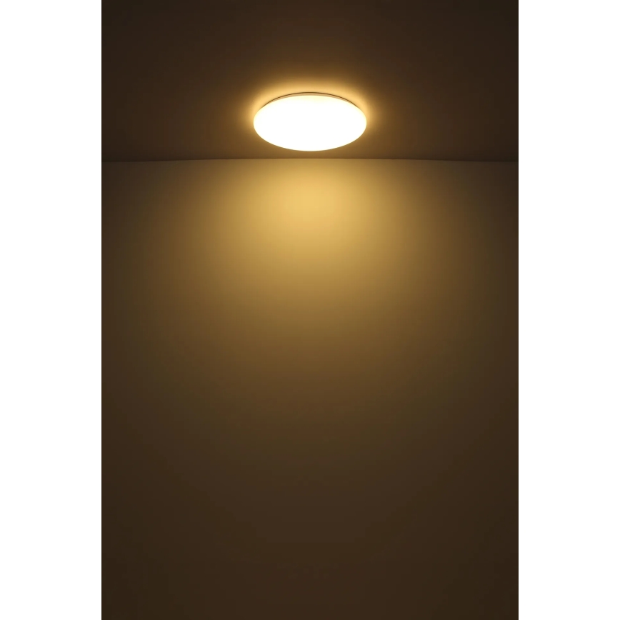 Globo - LED-kattovalaisin LED/24W/230V halkaisija 49,5 cm valkoinen