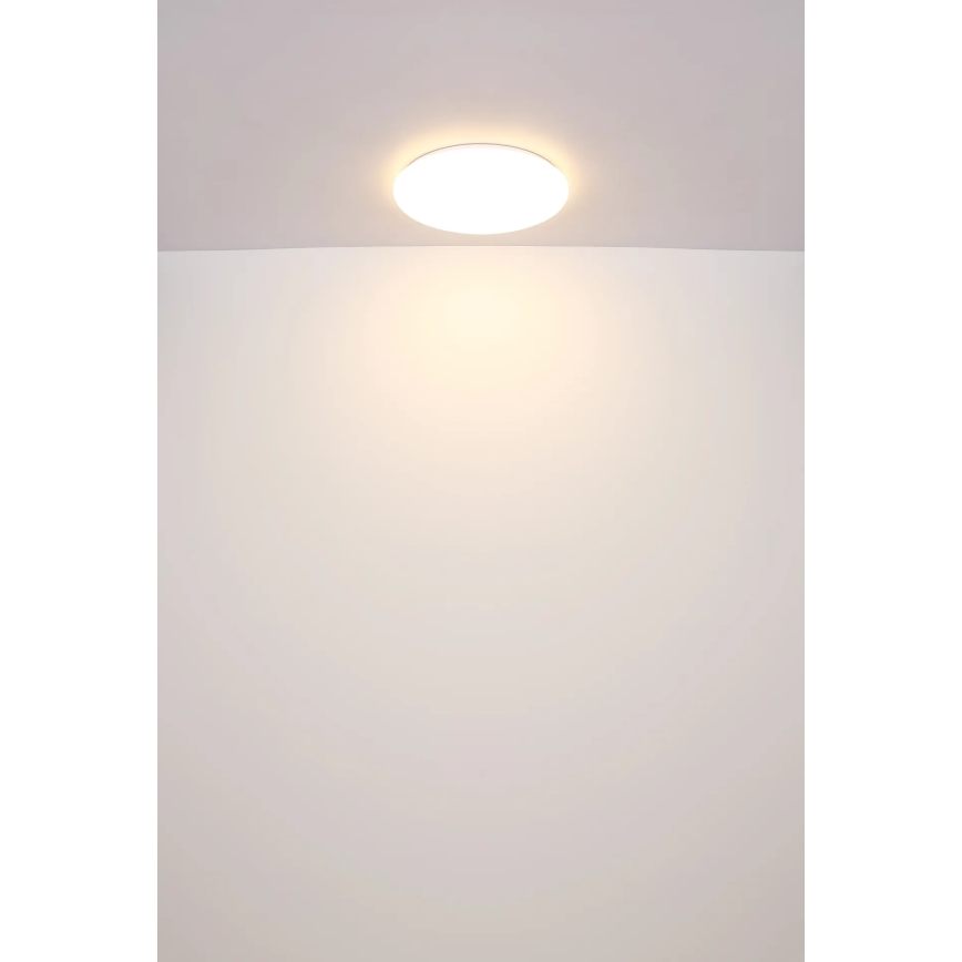 Globo - LED-kattovalaisin LED/24W/230V halkaisija 49,5 cm valkoinen