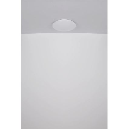 Globo - LED-kattovalaisin LED/24W/230V halkaisija 49,5 cm valkoinen