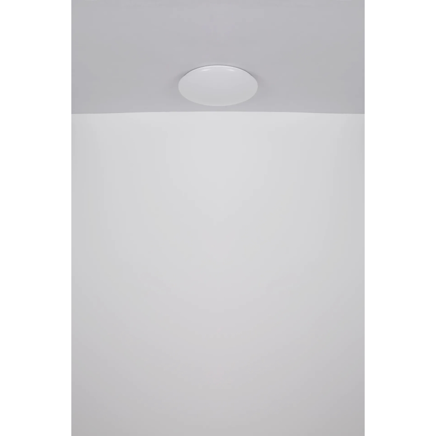 Globo - LED-kattovalaisin LED/24W/230V halkaisija 49,5 cm valkoinen