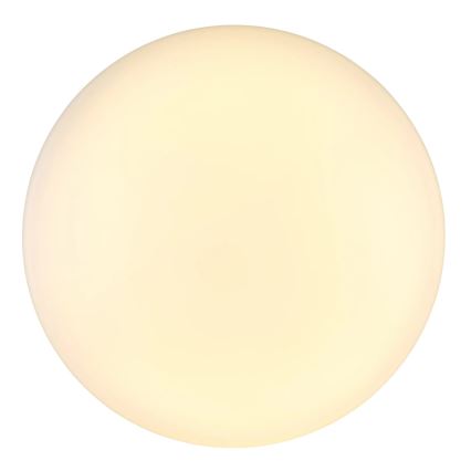 Globo - LED-kattovalaisin LED/24W/230V halkaisija 49,5 cm valkoinen