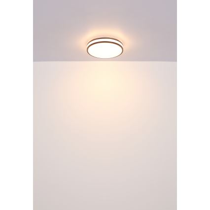 Globo - LED RGBW himmennettävä kattovalaisin LED/18W/230V 2700-6000K + kaukosäädin