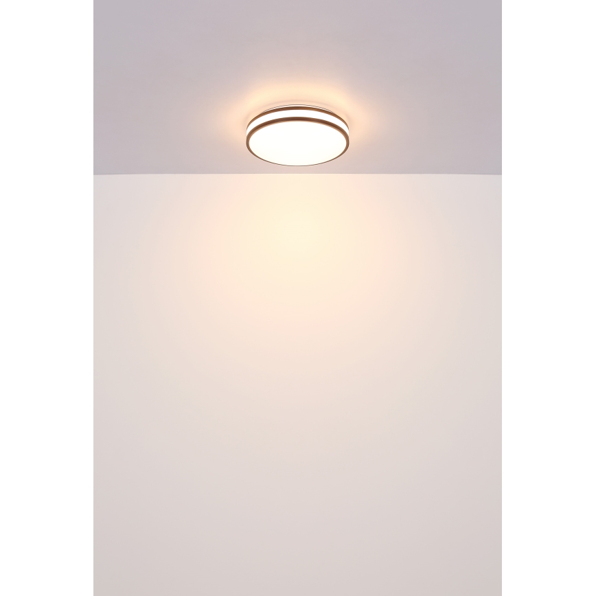 Globo - LED RGBW himmennettävä kattovalaisin LED/18W/230V 2700-6000K + kaukosäädin