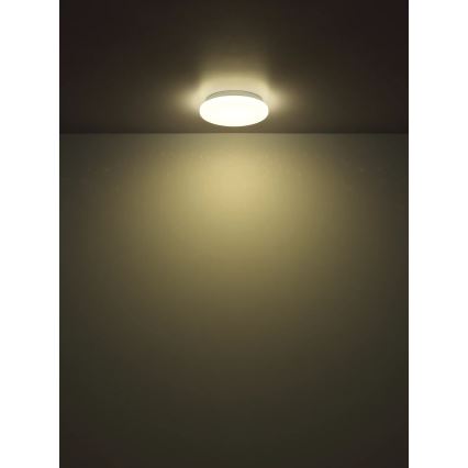 Globo - LED-kattovalaisin 8W/230V 4000K Ø55 cm