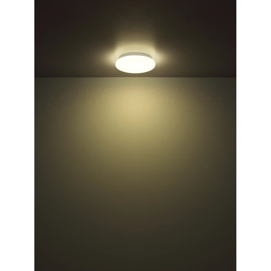 Globo - LED-kattovalaisin 8W/230V 4000K Ø55 cm