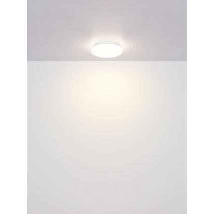 Globo - LED-kattovalaisin 8W/230V 4000K Ø55 cm