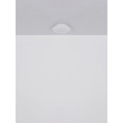 Globo - LED-kattovalaisin 8W/230V 4000K Ø55 cm