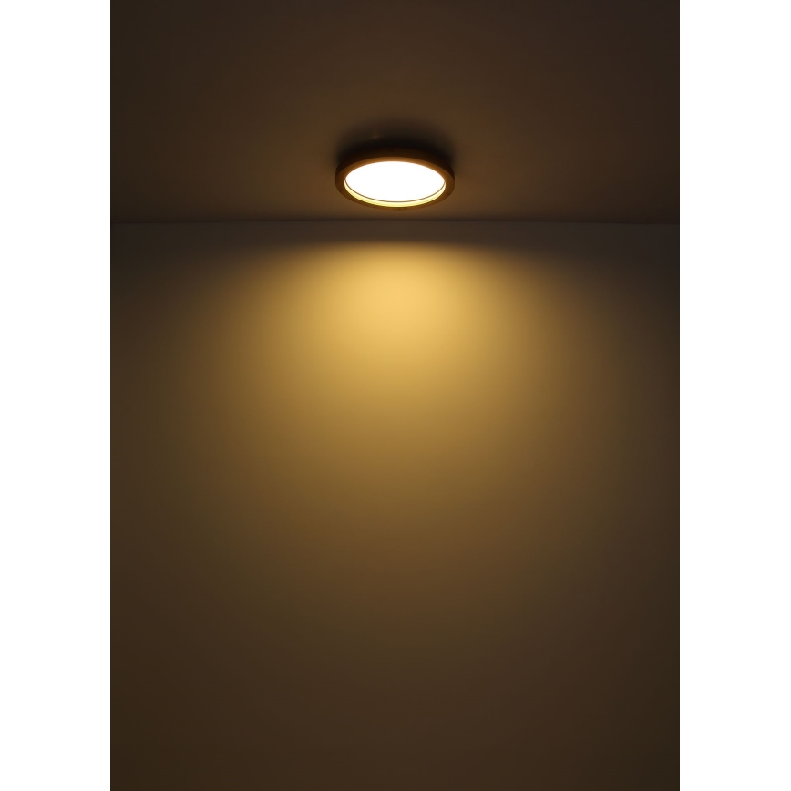 Globo - LED RGBW himmennettävä kattovalaisin LED/24W/230V 2700-6000K + kaukosäädin
