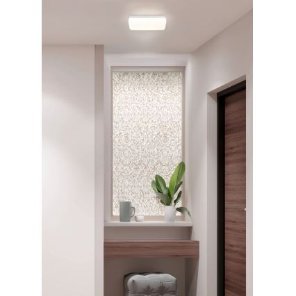 Globo - LED-kattovalaisin LED/12W/230V 3000/4200/6500K 28,5x13,5 cm