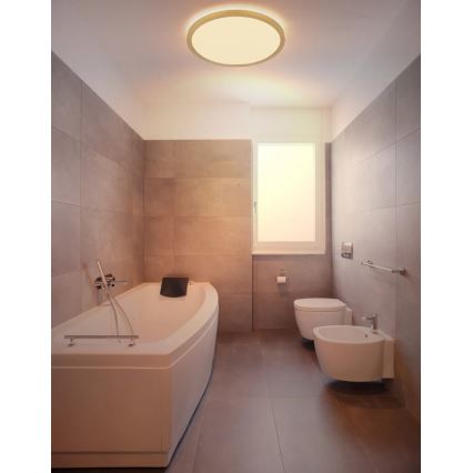 Globo - Himmennettävä kylpyhuoneen LED-kattovalaisin LED/24W/230V 3000K IP44 halkaisija 42 cm messinki