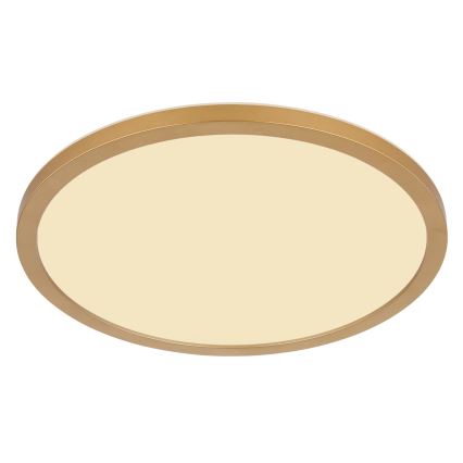 Globo - Himmennettävä kylpyhuoneen LED-kattovalaisin LED/24W/230V 3000K IP44 halkaisija 42 cm messinki