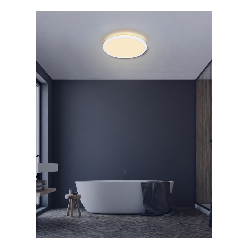 Globo - Himmennettävä kylpyhuoneen LED-kattovalaisin LED/24W/230V halkaisija 42 cm IP44 valkoinen