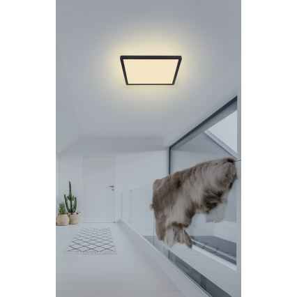 Globo - Himmennettävä kylpyhuoneen LED-kattovalaisin LED/18W/230V 29,4x29,4 cm IP44 musta