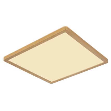 Globo - Himmennettävä kylpyhuoneen LED-kattovalaisin LED/24W/230V 3000K IP44 42x42 cm messinki