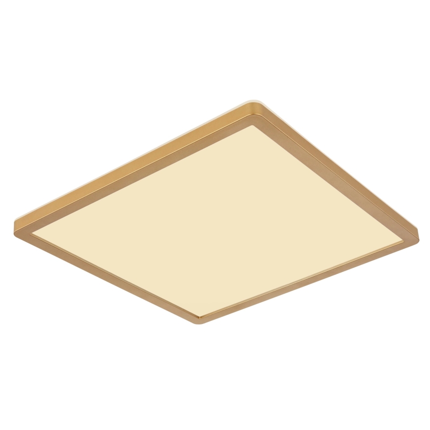 Globo - Himmennettävä kylpyhuoneen LED-kattovalaisin LED/24W/230V 3000K IP44 42x42 cm messinki