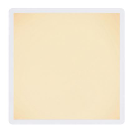 Globo - LED himmennettävä kylpyhuoneen kattovalaisin LED/24W/230V 42x42 cm IP44 valkoinen