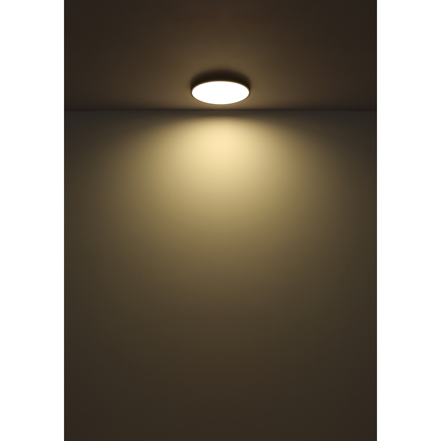 Globo - LED-kattovalaisin LED/15W/230V 4000K halkaisija 23 cm musta