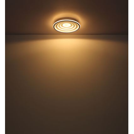 Globo - LED-kattovalaisin LED/24W/230V