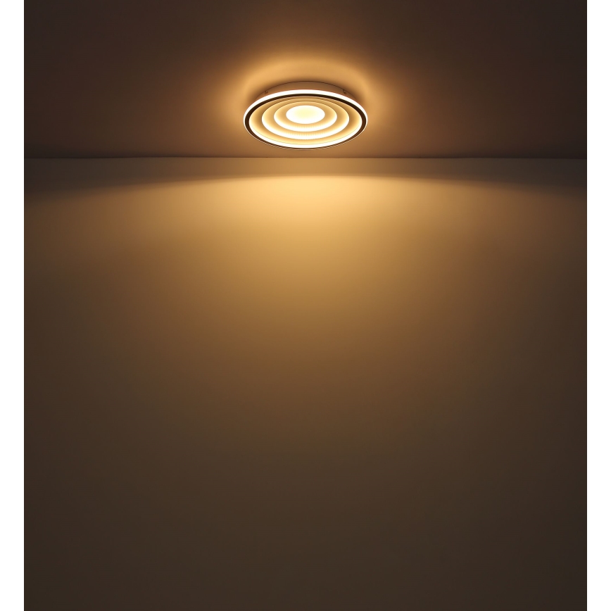 Globo - LED-kattovalaisin LED/24W/230V