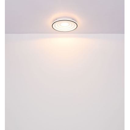 Globo - LED-kattovalaisin LED/24W/230V
