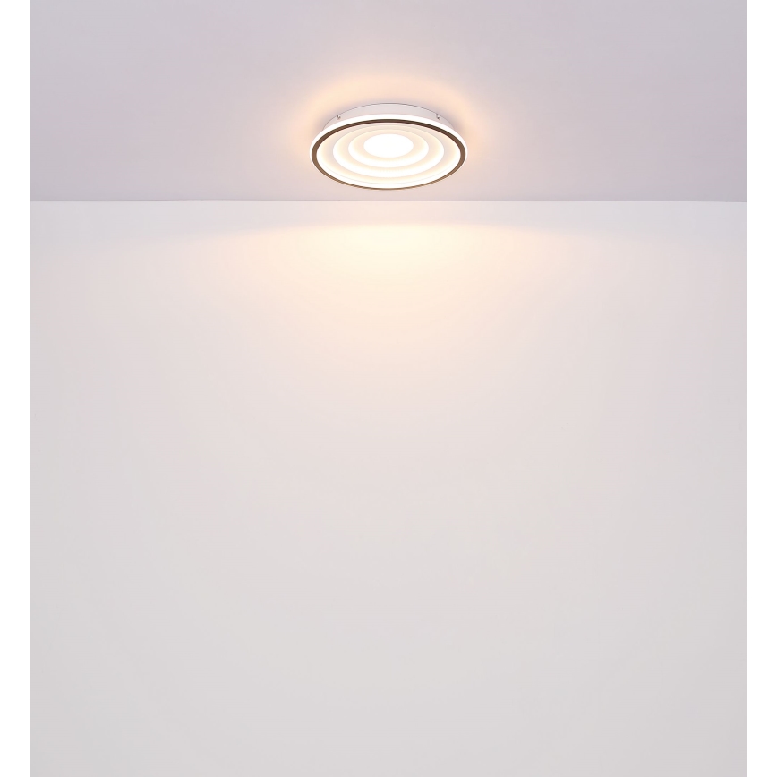 Globo - LED-kattovalaisin LED/24W/230V