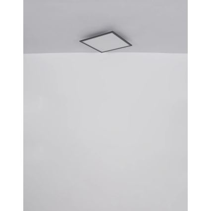 Globo - LED-kattovalaisin LED/24W/230V