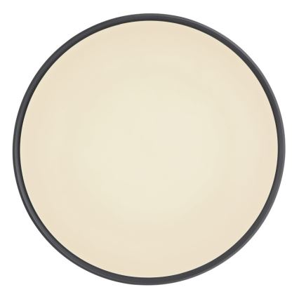 Globo - LED himmennettävä kattovalaisin LED/18W/230V + kaukosäädin